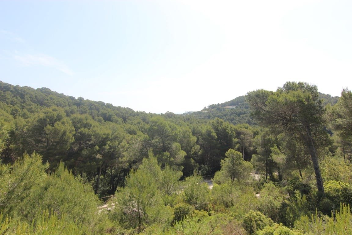 Parcelas en venta en Javea