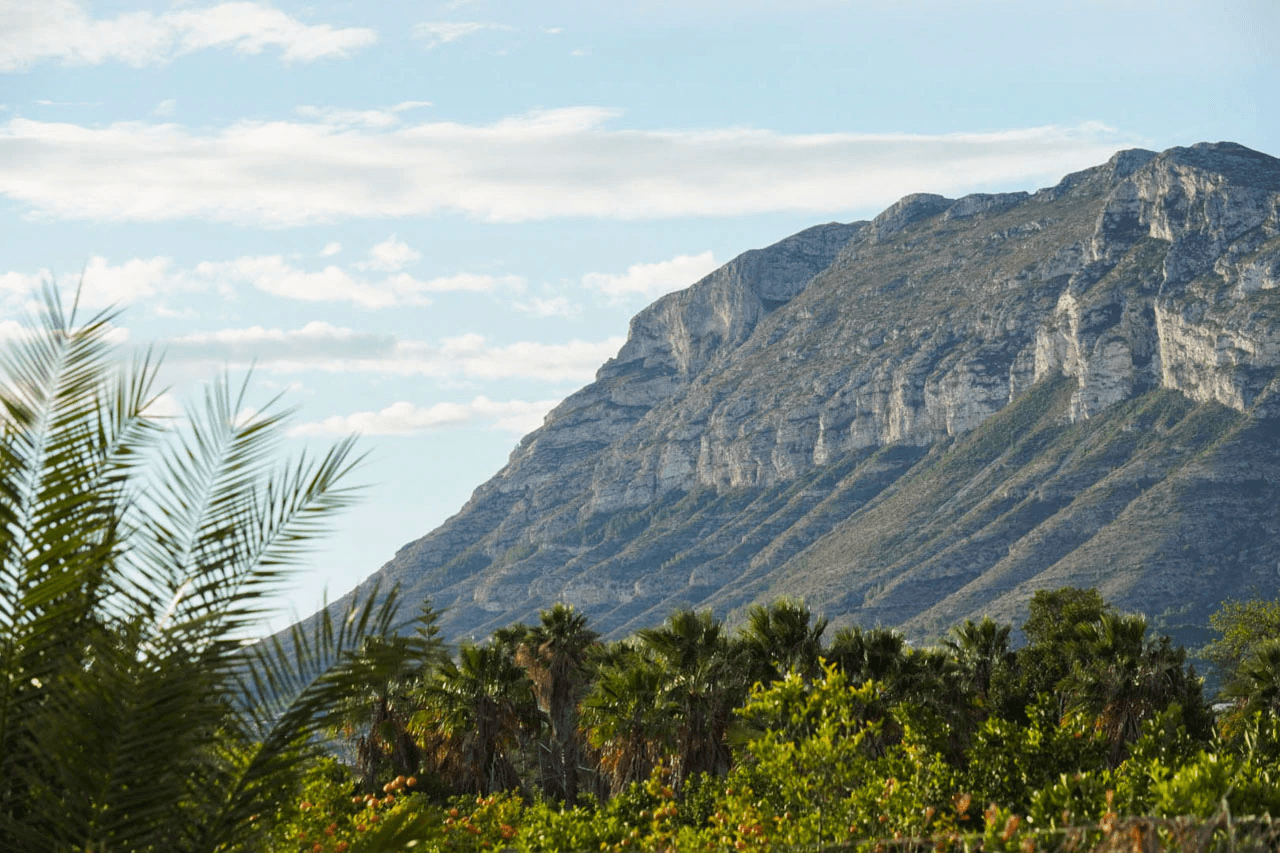 C4XY8328DEN Apartamento planta baja a la venta en Denia.