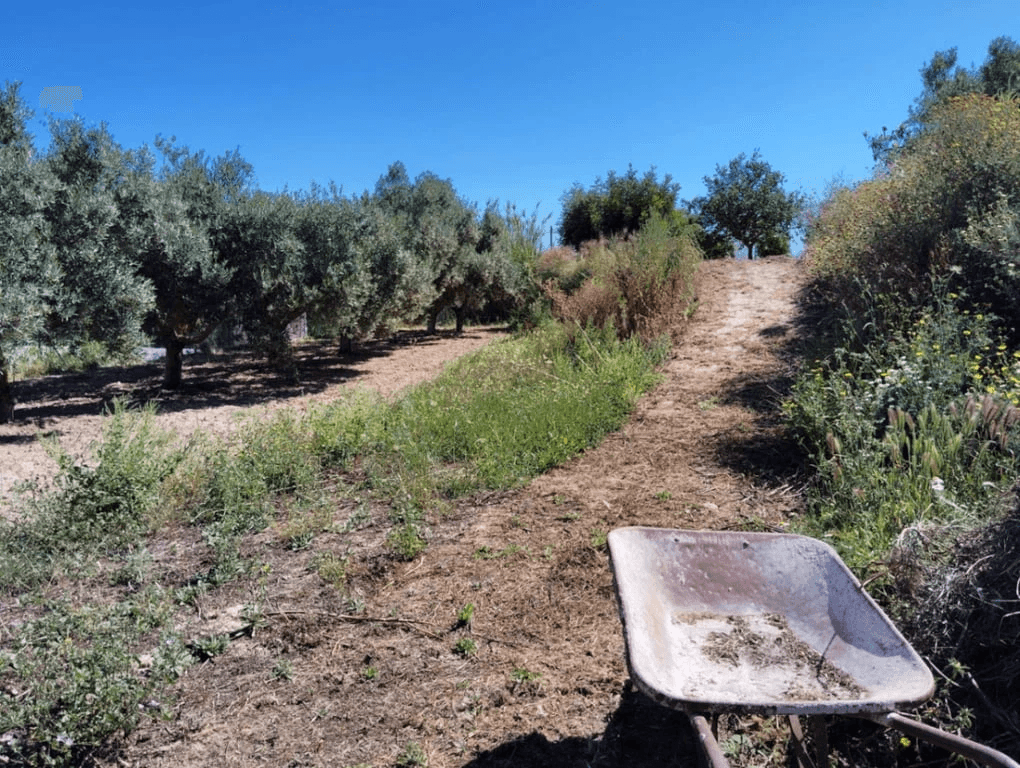 Finca à la vente à Teulada