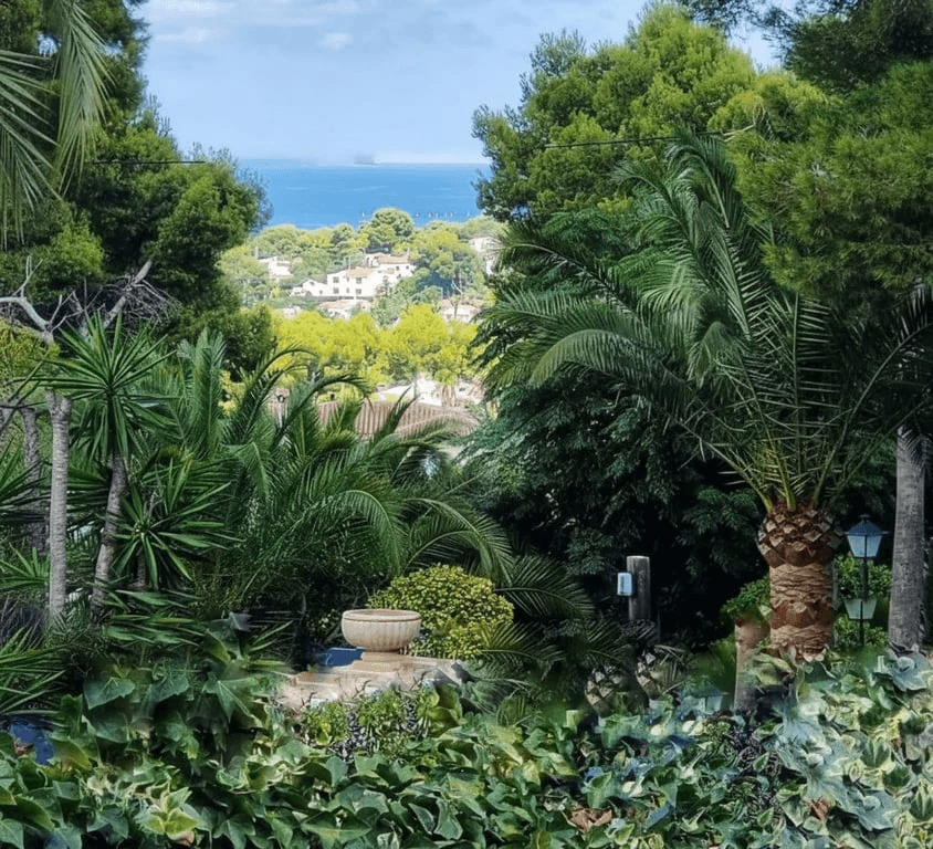 Detached House à la vente à Jávea