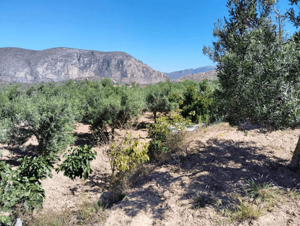 Finca à la vente à Teulada