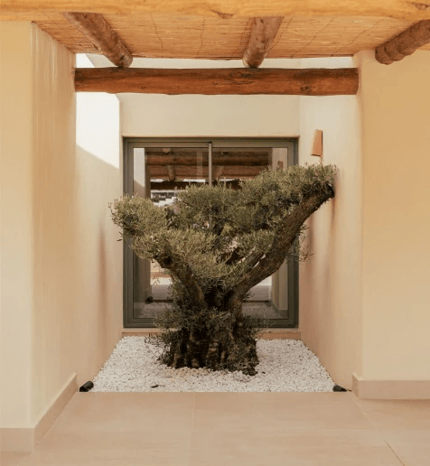 Detached House à la vente à Jávea