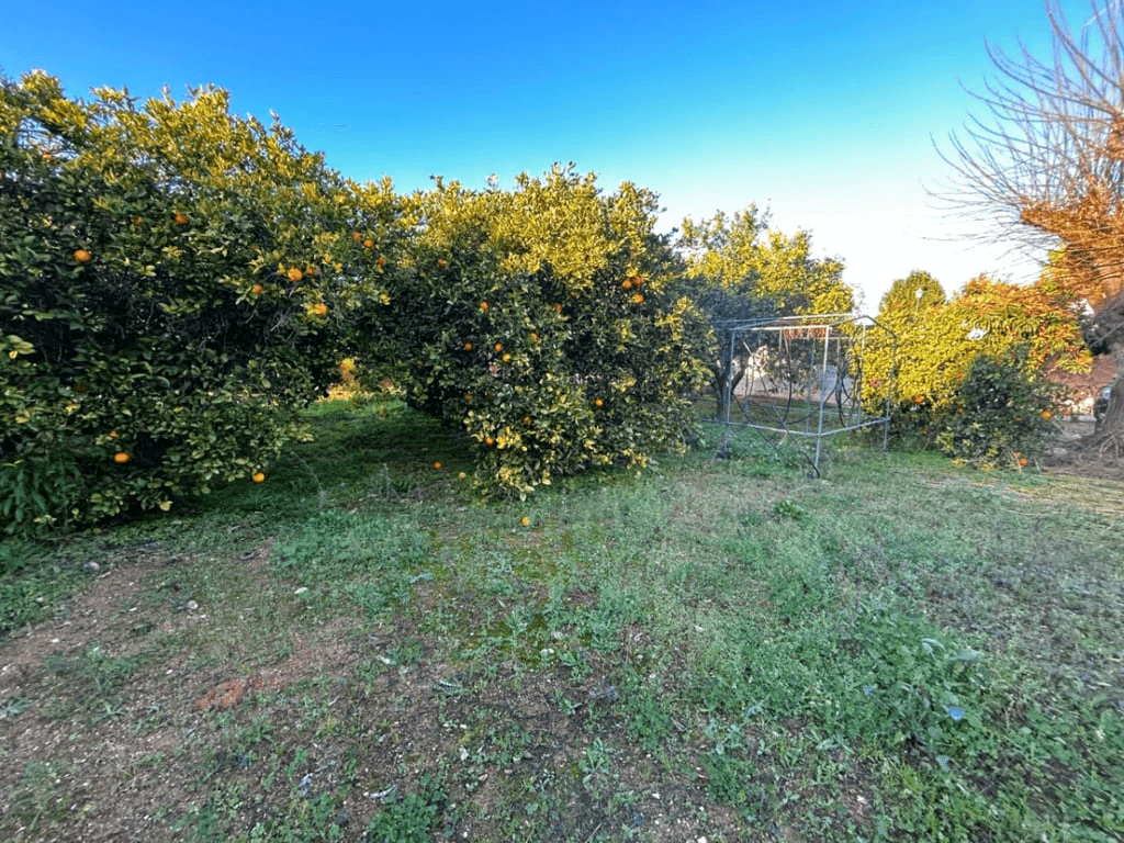 Detached House à la vente à Pedreguer