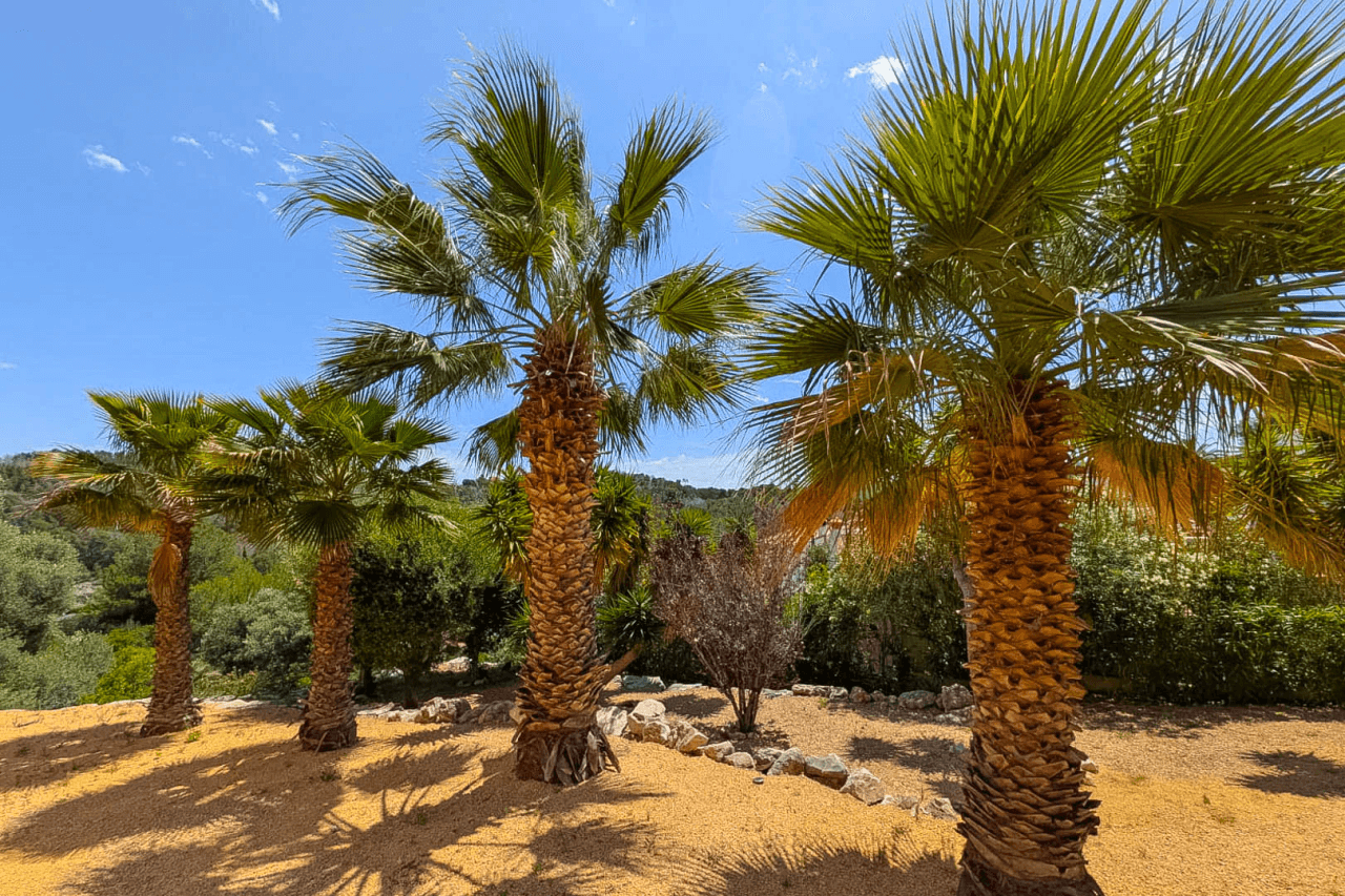 4650JAV Villa tradicional con vistas al mar en venta en Tosalet 5, Jávea.