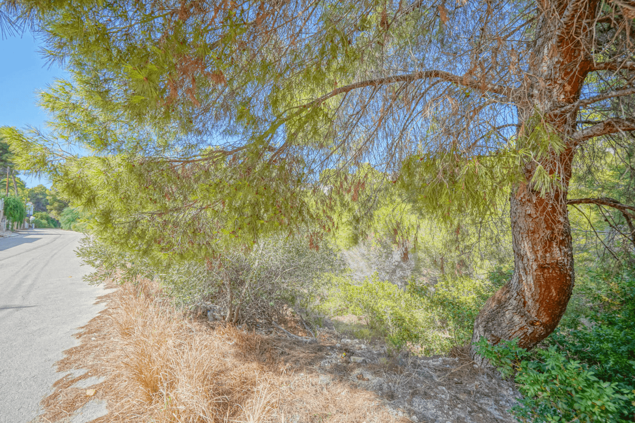4295BEN Parcela en venta a 800 m de la playa de Benissa