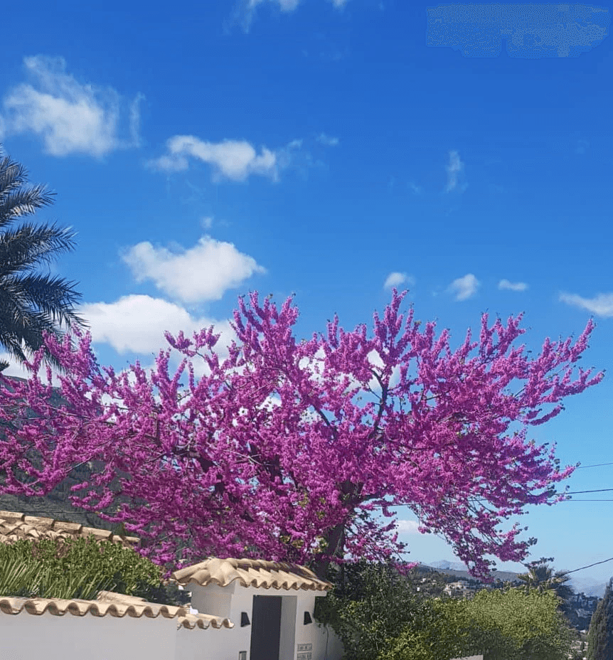 Villa avec vue sur la mer, au Montgo à Denia