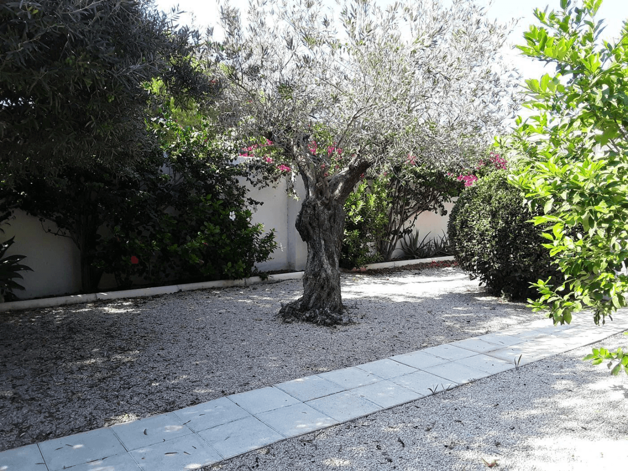 Villa/maison jumelée en bord de mer à Dénia