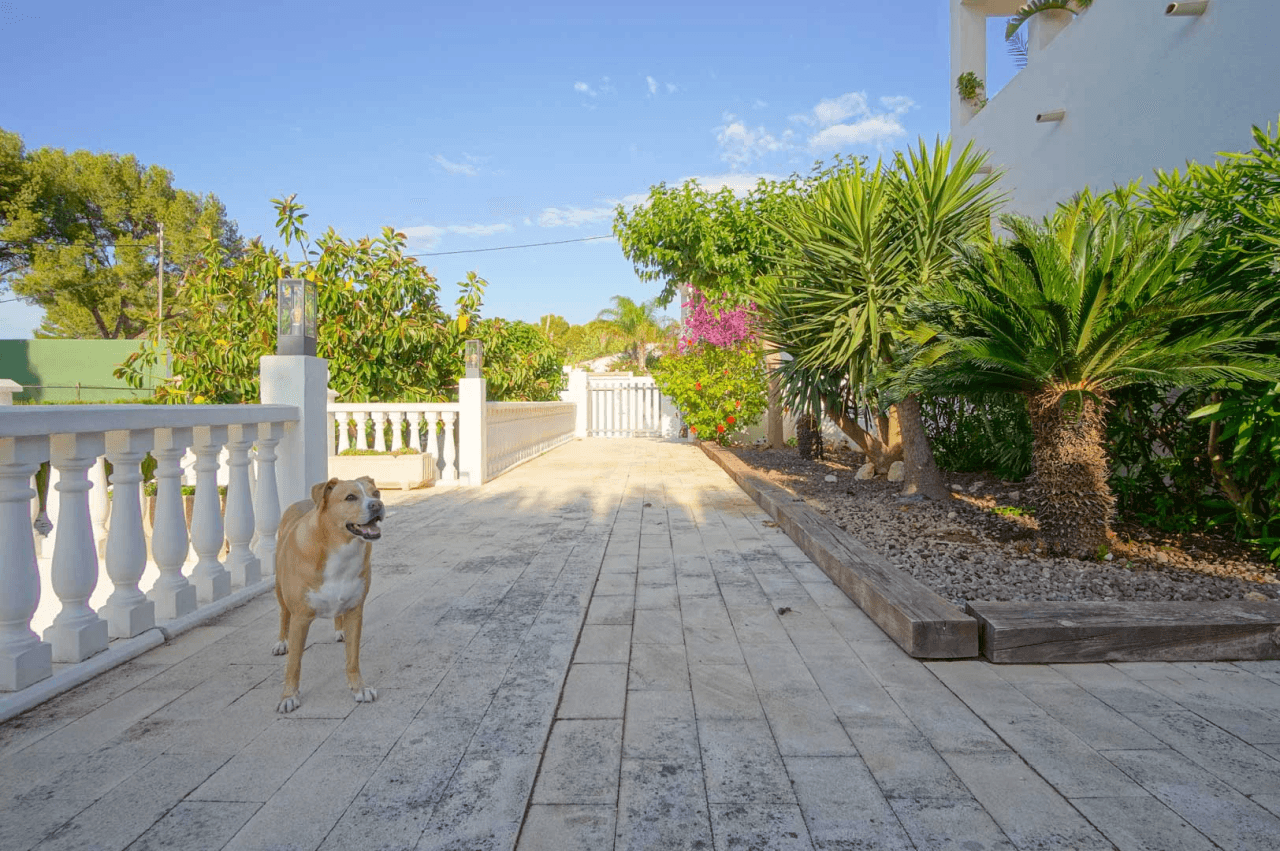 8176DEN Villa met gedeeltelijk zeezicht te koop in las Rotas, Denia