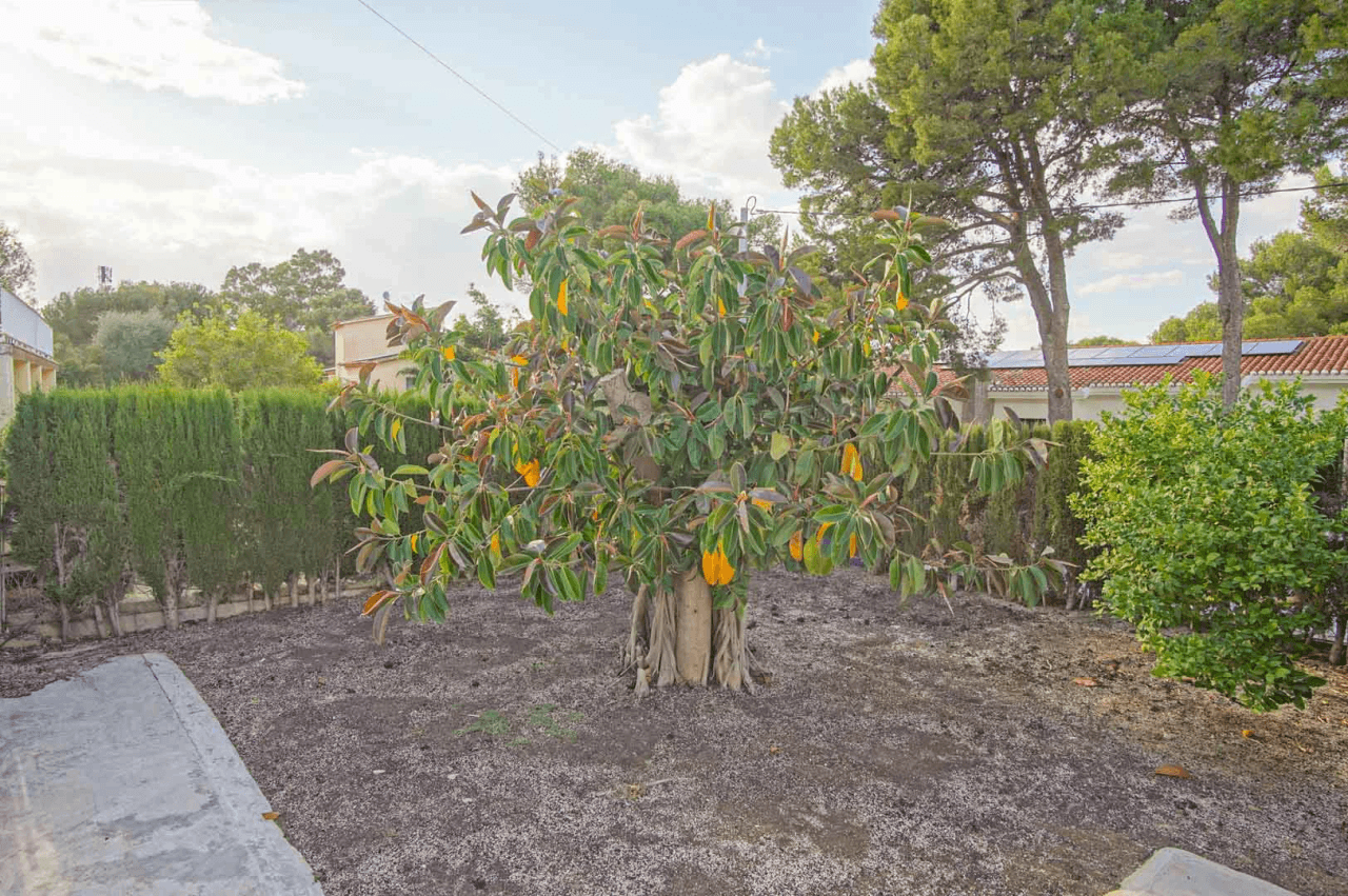 8176DEN Villa met gedeeltelijk zeezicht te koop in las Rotas, Denia