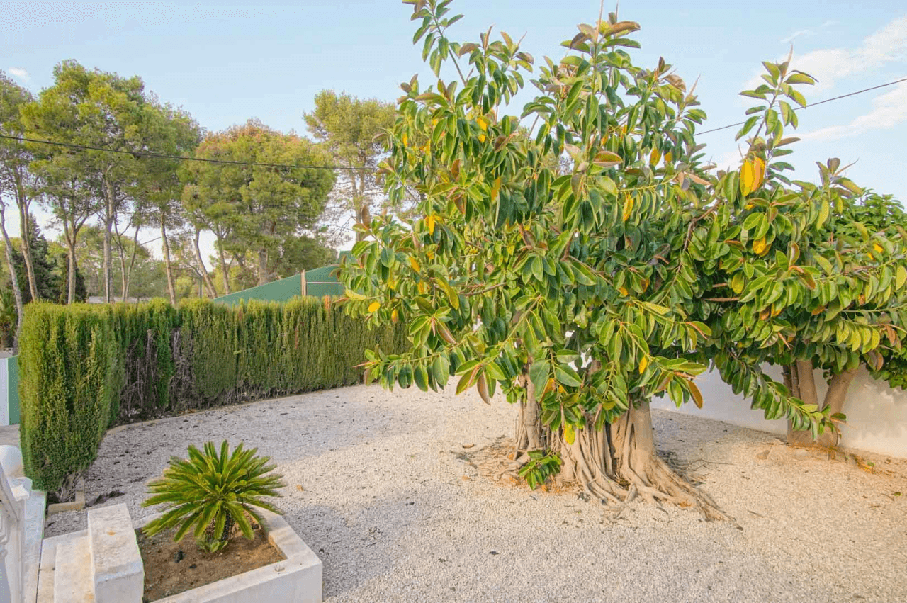 8176DEN Villa met gedeeltelijk zeezicht te koop in las Rotas, Denia