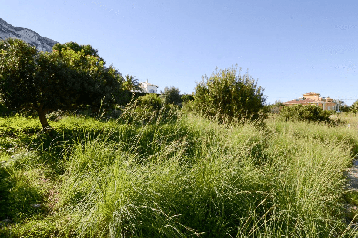 Plot te verkoop in Denia, Alicante