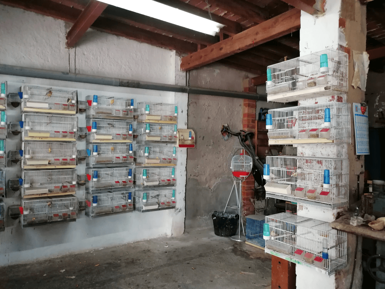 Te renofige woning te renoveren in Denia