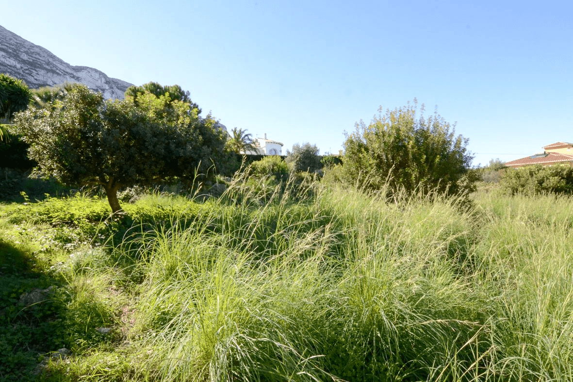 Plot te verkoop in Denia, Alicante
